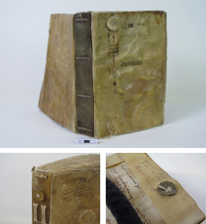 cbl_17